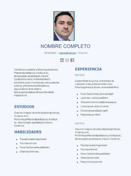 plantilla currículum paleógrafo
